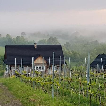 Utopia Dom Przy Winnicy Nowica Exteriör bild