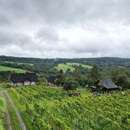 Utopia Dom Przy Winnicy Nowica Exteriör bild