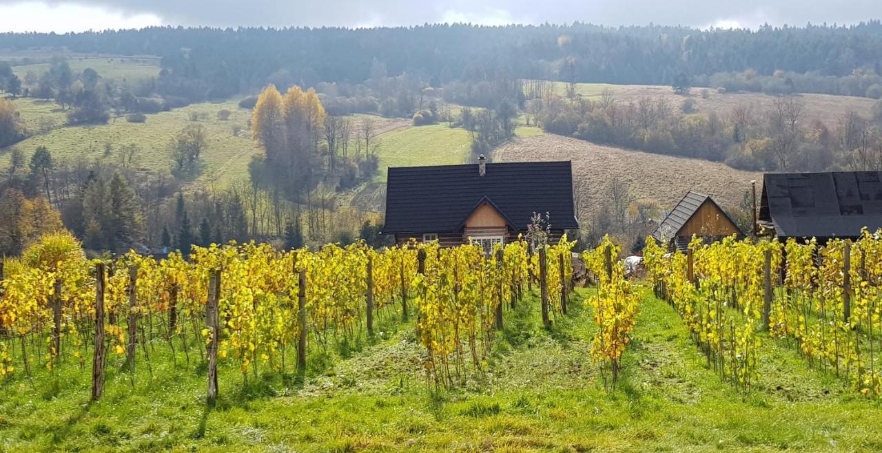 Utopia Dom Przy Winnicy Nowica Exteriör bild
