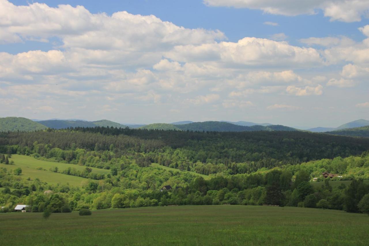 Utopia Dom Przy Winnicy Nowica Exteriör bild