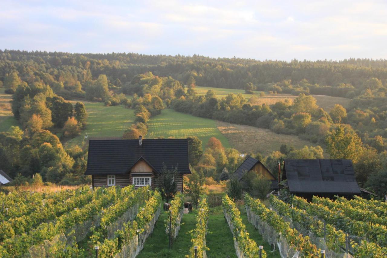 Utopia Dom Przy Winnicy Nowica Exteriör bild