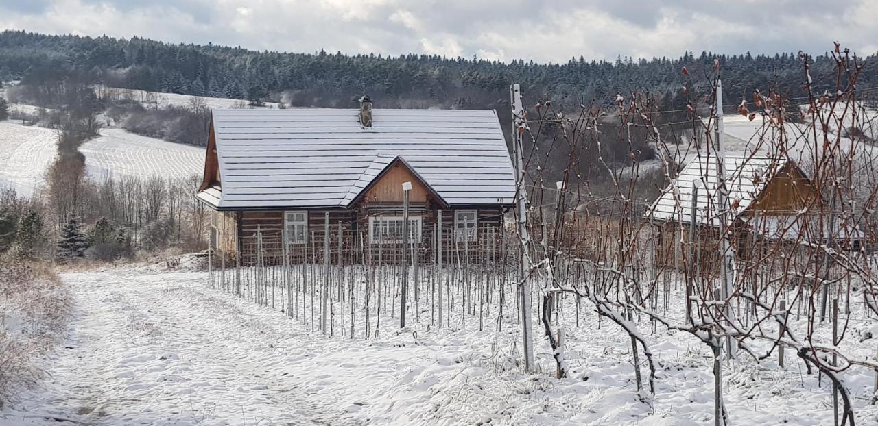 Utopia Dom Przy Winnicy Nowica Exteriör bild