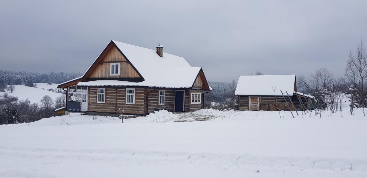 Utopia Dom Przy Winnicy Nowica Exteriör bild