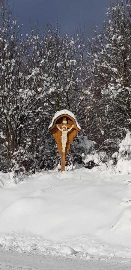 Utopia Dom Przy Winnicy Nowica Exteriör bild